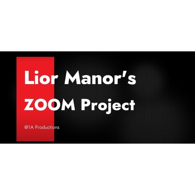 Lior Manor – The Zoom Project