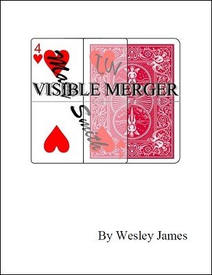 Visible Merger by Wesley James